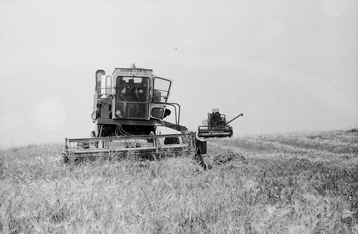 minerva_Agrar_c1_c5r5_029