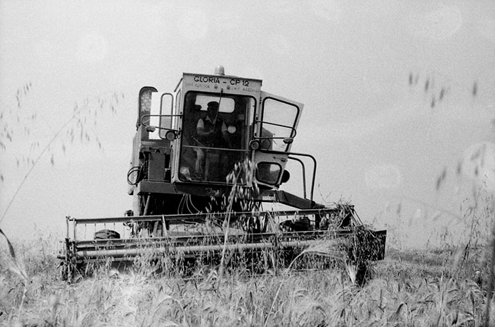 minerva_Agrar_c1_c5r5_030