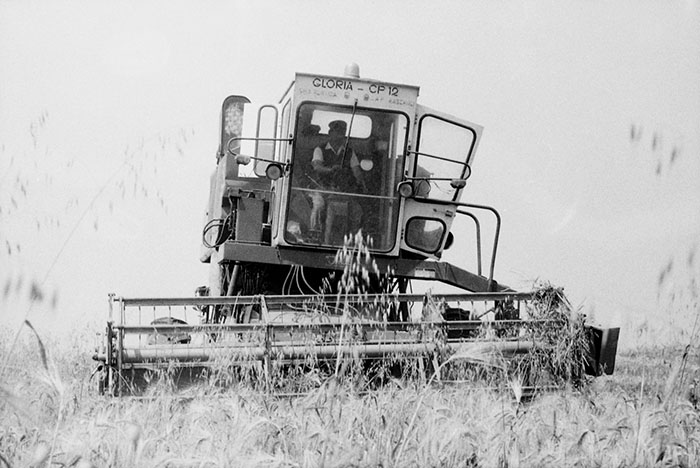 minerva_Agrar_c1_c5r5_031