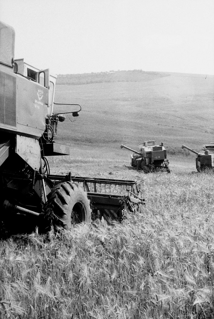 minerva_Agrar_c1_c5r5_032