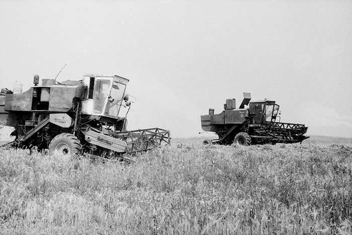 minerva_Agrar_c1_c5r5_033