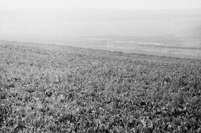 minerva_Agrar_c1_c5r5_035