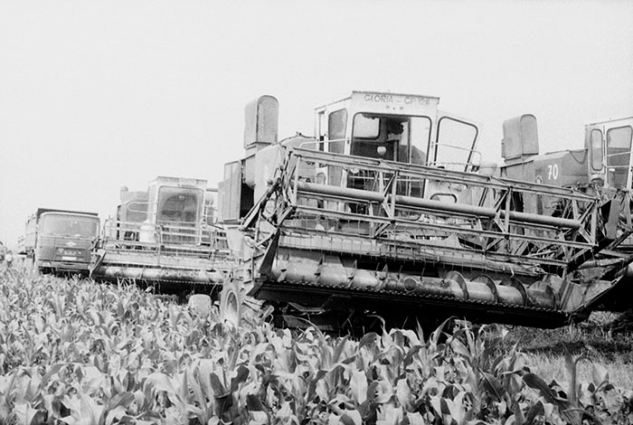 minerva_Agrar_c1_c5r5_039