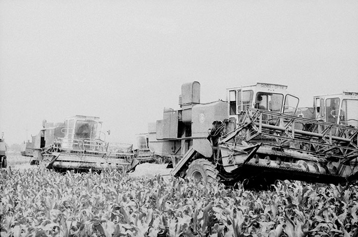 minerva_Agrar_c1_c5r5_040