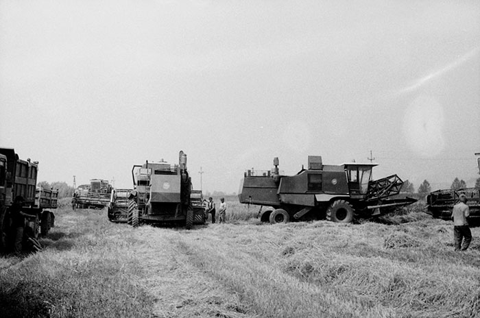 minerva_Agrar_c1_c5r5_041