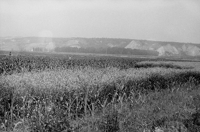 minerva_Agrar_c1_c5r5_042