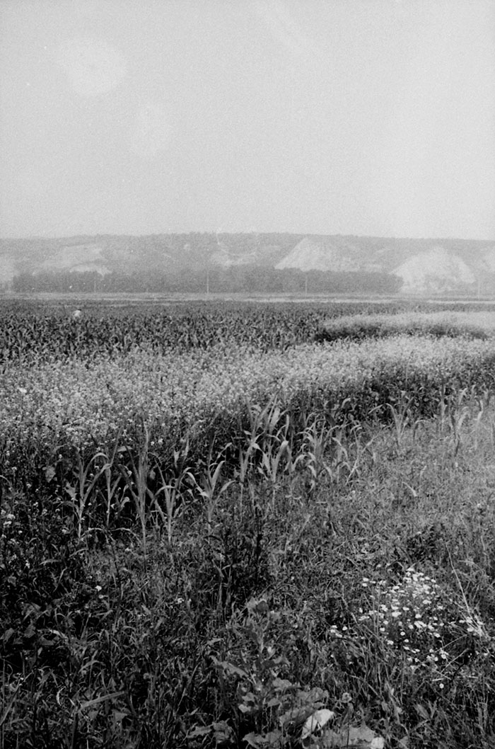 minerva_Agrar_c1_c5r5_043