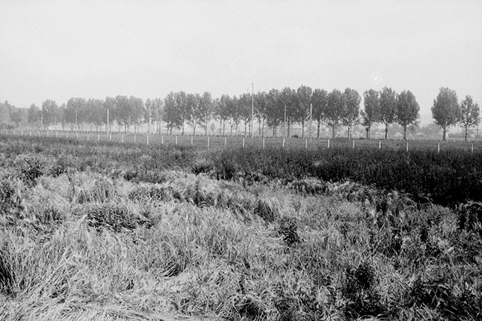 minerva_Agrar_c1_c5r5_044