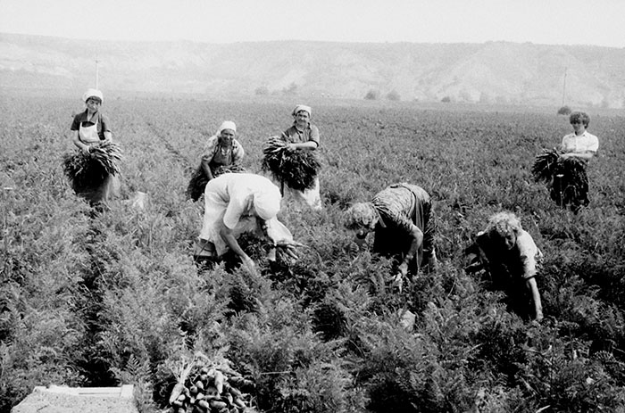 minerva_Agrar_c1_c5r5_047