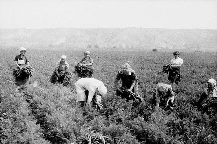 minerva_Agrar_c1_c5r5_048