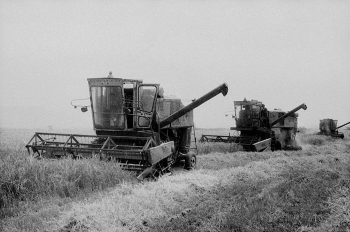 minerva_Agrar_c1_c5r5_049