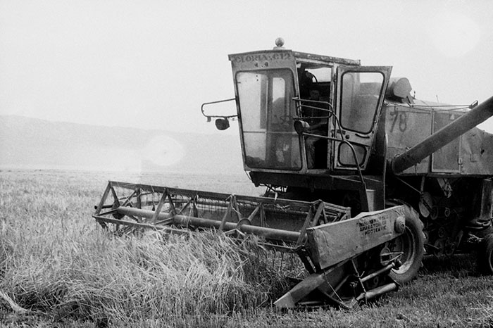 minerva_Agrar_c1_c5r5_052