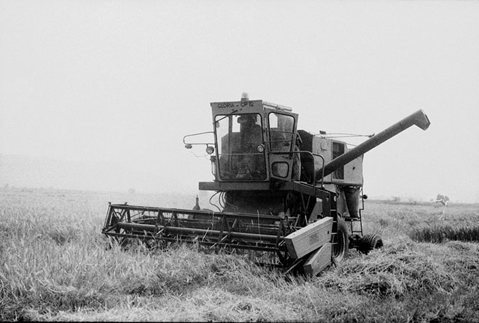 minerva_Agrar_c1_c5r5_053