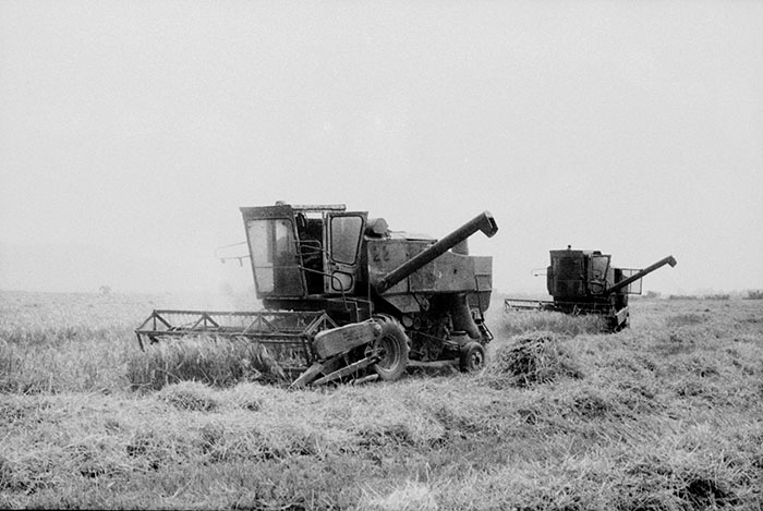 minerva_Agrar_c1_c5r5_054