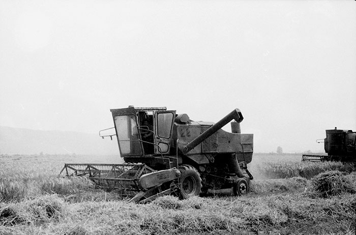 minerva_Agrar_c1_c5r5_055