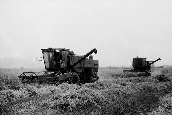 minerva_Agrar_c1_c5r5_056