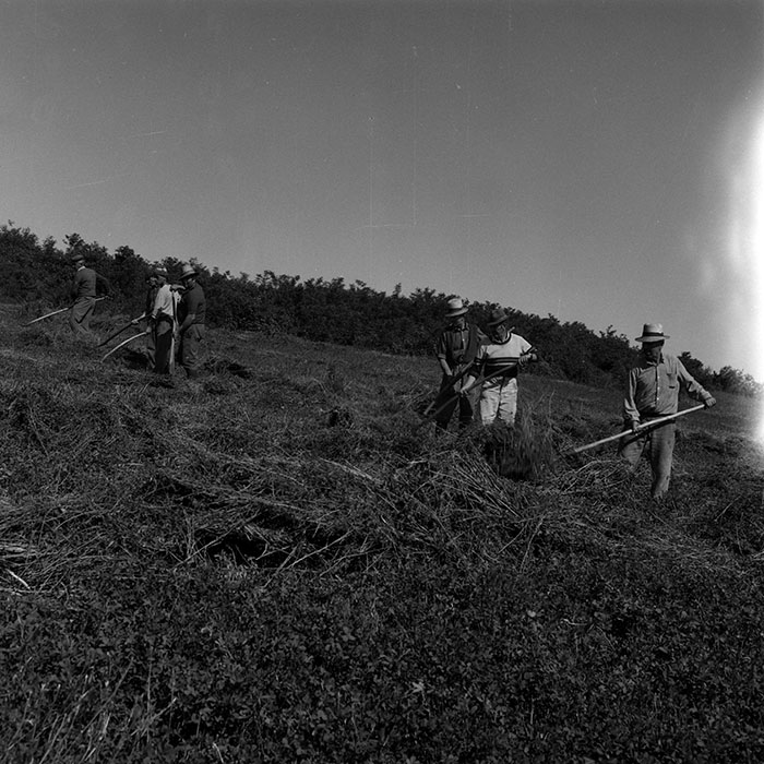 minerva_Agrar_c1_c6r1_007