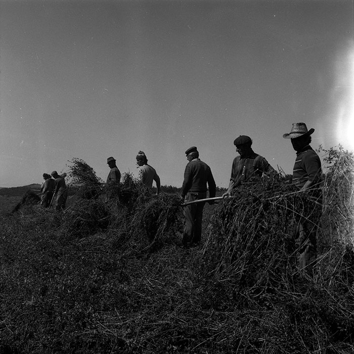 minerva_Agrar_c1_c6r1_010