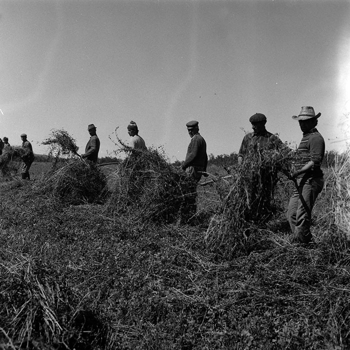 minerva_Agrar_c1_c6r1_011