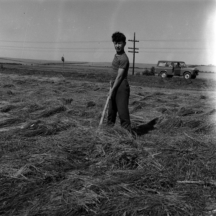 minerva_Agrar_c1_c6r1_012