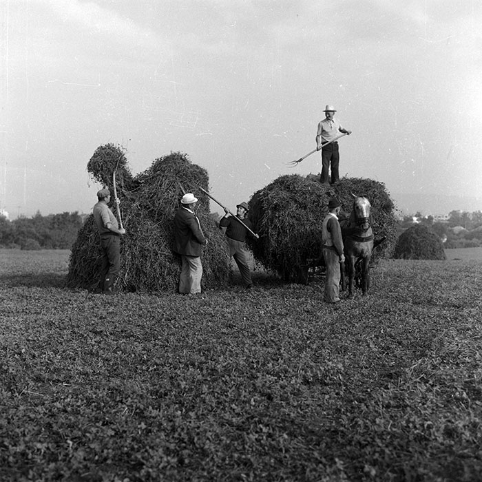 minerva_Agrar_c1_c6r1_013