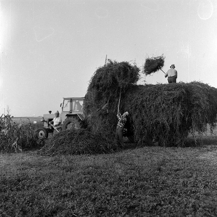 minerva_Agrar_c1_c6r1_014