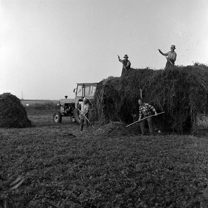 minerva_Agrar_c1_c6r1_015