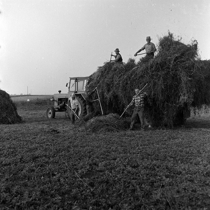 minerva_Agrar_c1_c6r1_016