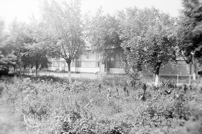 minerva_Agrar_c1_c6r1_020