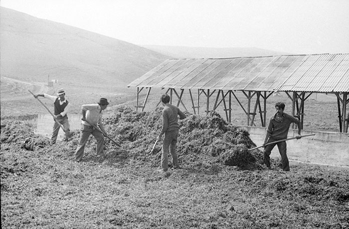 minerva_Agrar_c1_c6r1_021