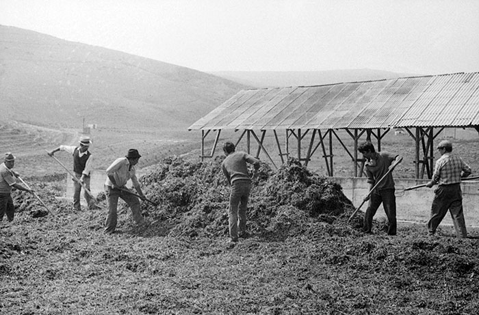 minerva_Agrar_c1_c6r1_022