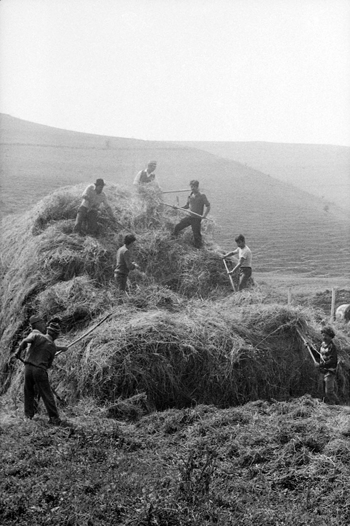 minerva_Agrar_c1_c6r1_023