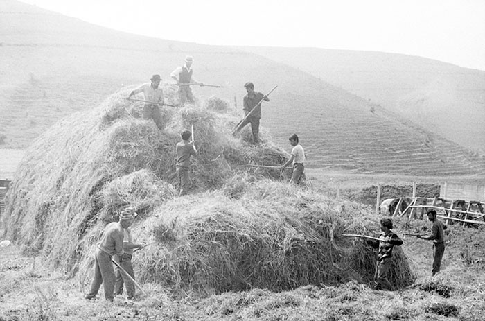 minerva_Agrar_c1_c6r1_024