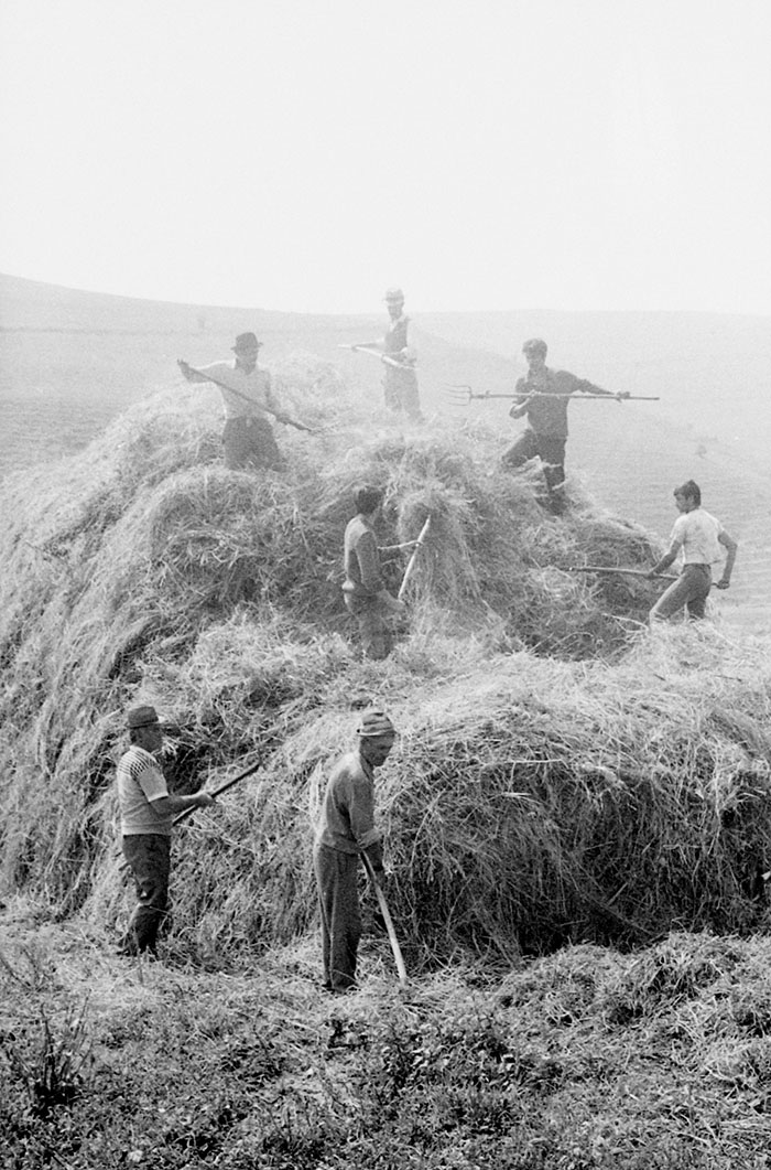 minerva_Agrar_c1_c6r1_025