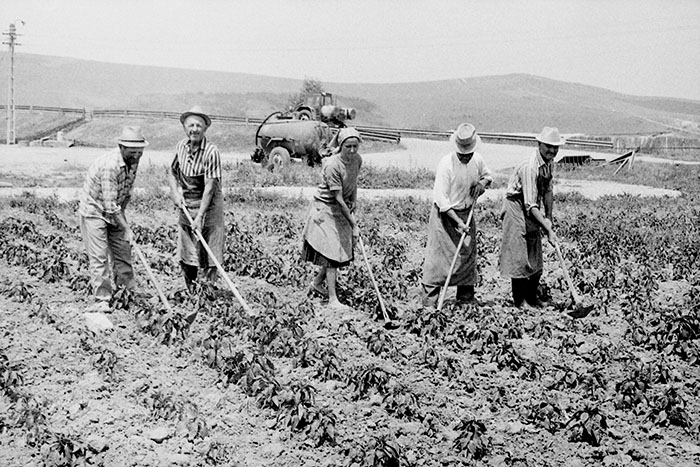 minerva_Agrar_c1_c6r1_026