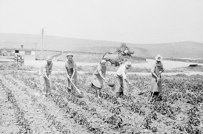 minerva_Agrar_c1_c6r1_027