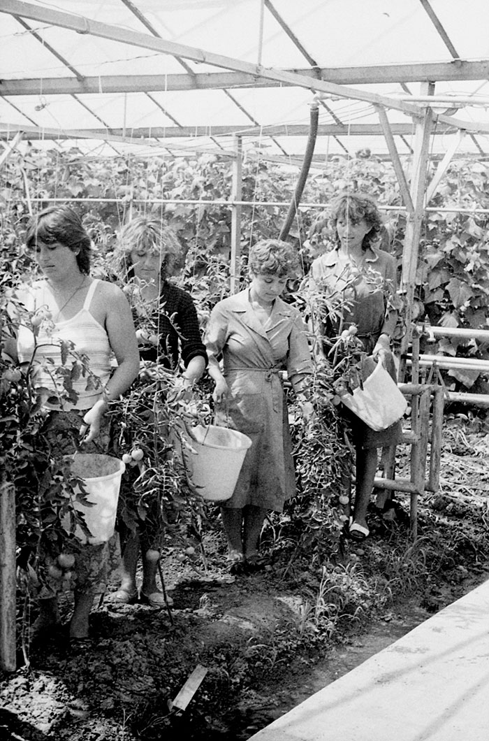 minerva_Agrar_c1_c6r1_028