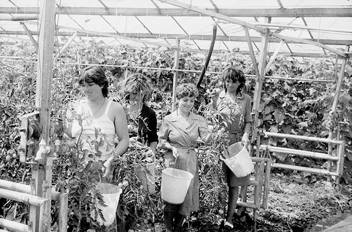 minerva_Agrar_c1_c6r1_029