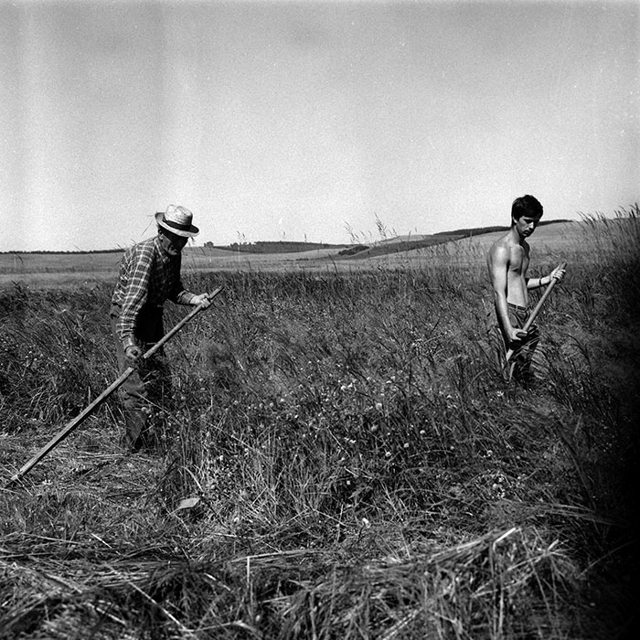 minerva_Agrar_c1_c6r2_001