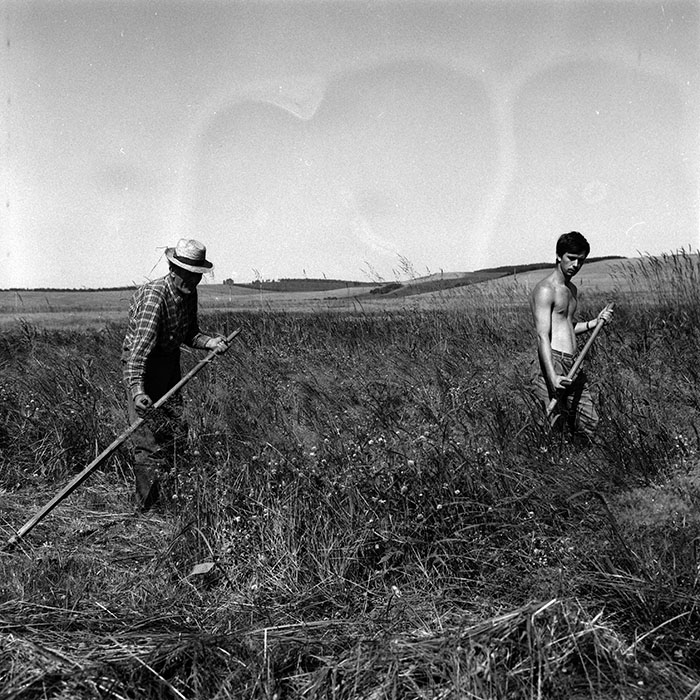 minerva_Agrar_c1_c6r2_002