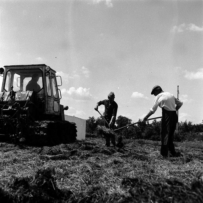 minerva_Agrar_c1_c6r2_003