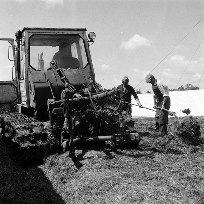 minerva_Agrar_c1_c6r2_004