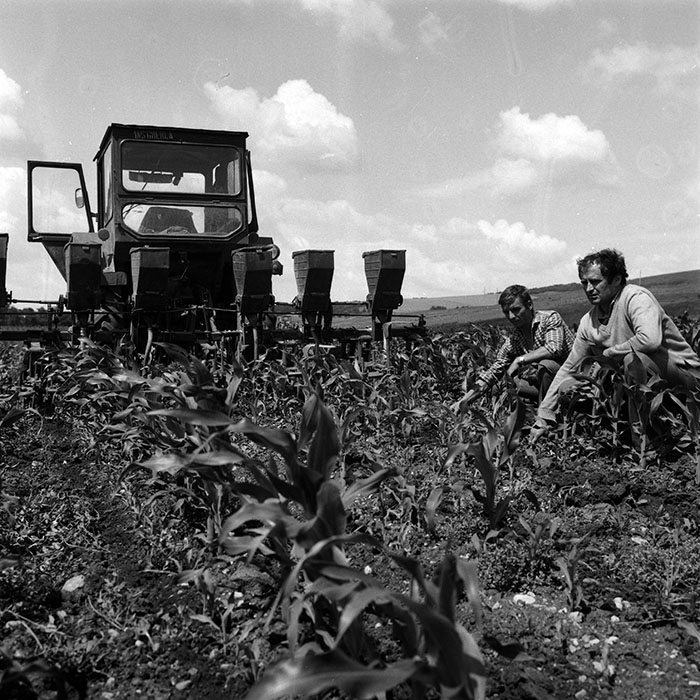 minerva_Agrar_c1_c6r2_005