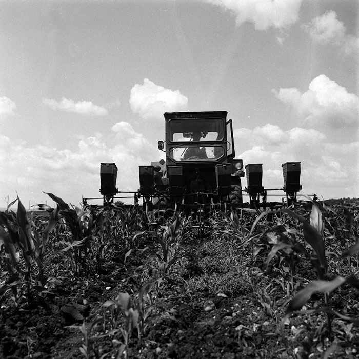 minerva_Agrar_c1_c6r2_006