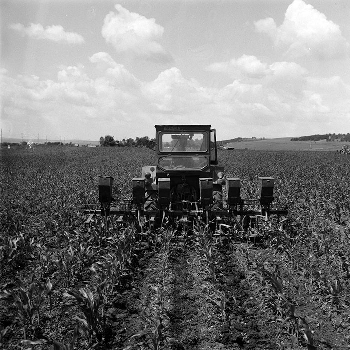 minerva_Agrar_c1_c6r2_007