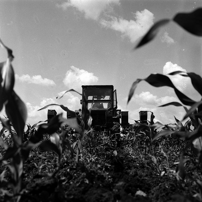 minerva_Agrar_c1_c6r2_008