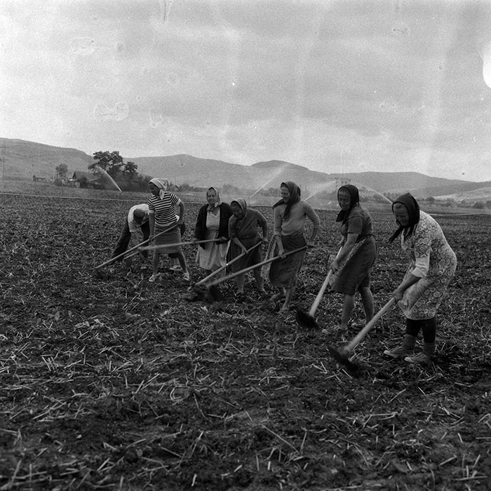 minerva_Agrar_c1_c6r2_011