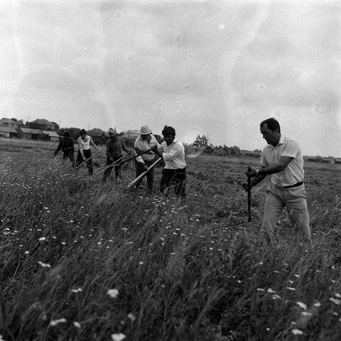 minerva_Agrar_c1_c6r2_012