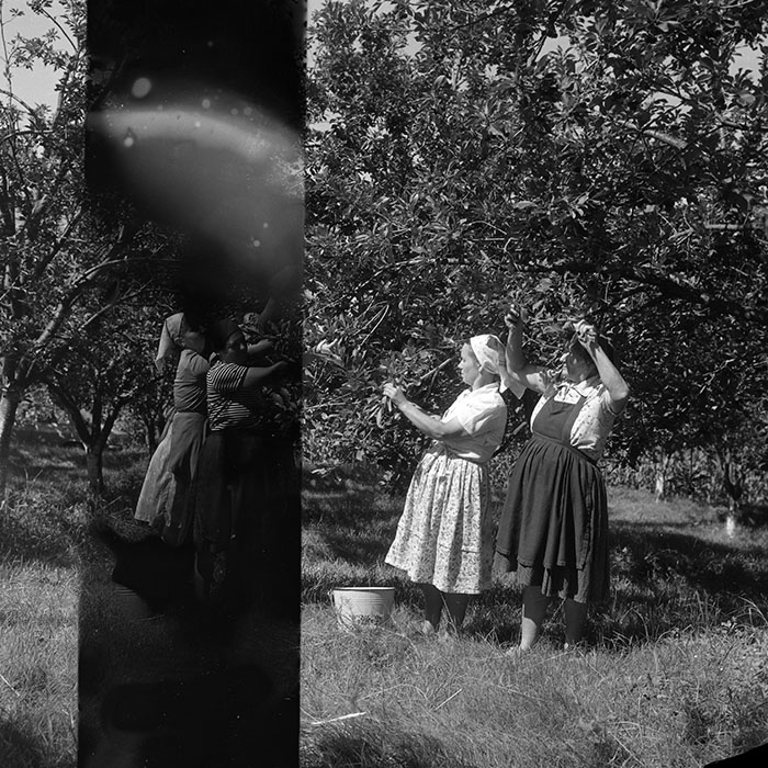 minerva_Agrar_c1_c6r3_001