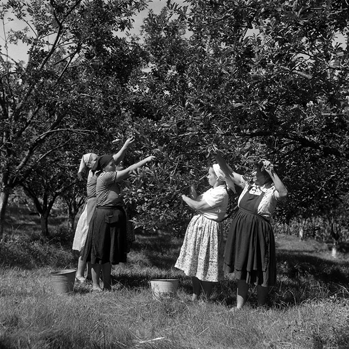 minerva_Agrar_c1_c6r3_002